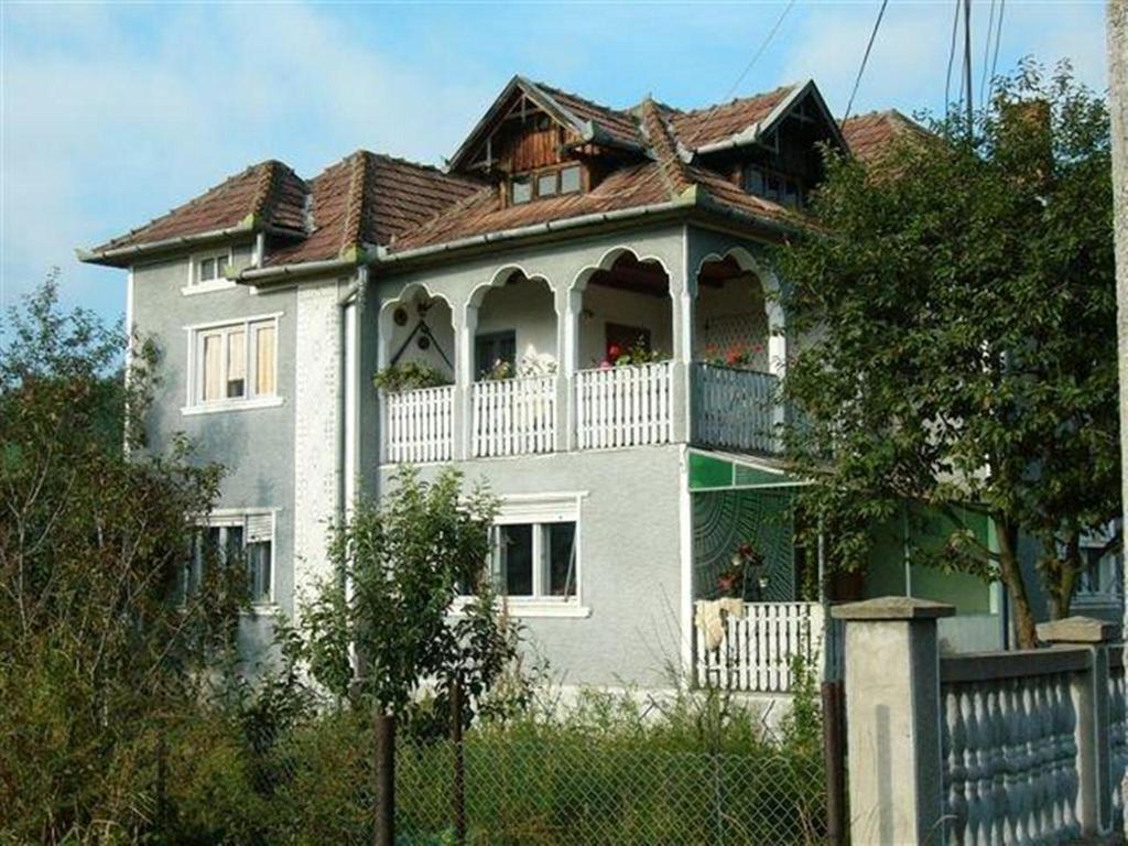 Pensiunea Tarina Suncuius Exterior foto
